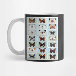 BUTTERFLY COLLECTION MATCHBOX SERIES BUTTERFLIES BOTANICAL GARDEN Mug